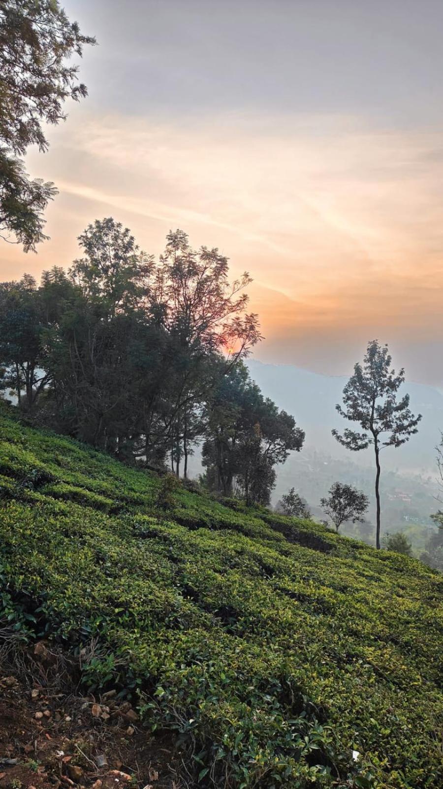 Moksha Infinity Valley Kotagiri Εξωτερικό φωτογραφία